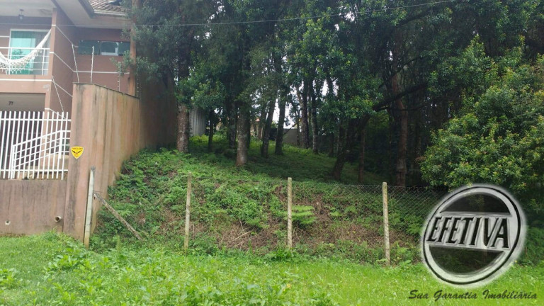 Imagem Terreno à Venda, 495 m² em Santa Felicidade - Curitiba Imagem Terreno à Venda, 495 m² em Santa Felicidade - Curitiba