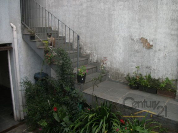 Imagem Sobrado com 3 Quartos à Venda, em Vila Nova Mazzei - São Paulo Imagem Sobrado com 3 Quartos à Venda, em Vila Nova Mazzei - São Paulo