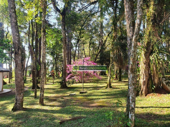 Imagem Terreno à Venda, 1.111 m² em Orleans - Curitiba Imagem Terreno à Venda, 1.111 m² em Orleans - Curitiba