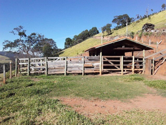 Imagem Fazenda à Venda, 1.000 m² em Silveiras