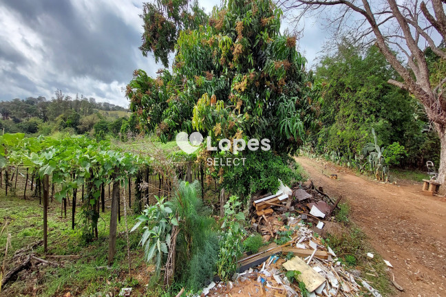 Imagem Imóvel com 1 Quarto à Venda, 43.000 m² em Parque Eldorado - Campinas Imagem Imóvel com 1 Quarto à Venda, 43.000 m² em Parque Eldorado - Campinas