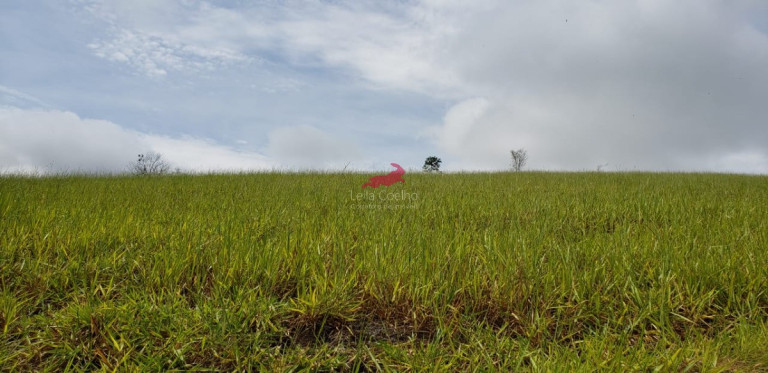 Imagem Fazenda à Venda, 968 m² em Centro - Palmópolis Imagem Fazenda à Venda, 968 m² em Centro - Palmópolis