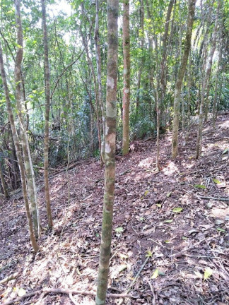 Imagem Terreno à Venda, 4.685 m² em Vargem Grande - Teresópolis Imagem Terreno à Venda, 4.685 m² em Vargem Grande - Teresópolis