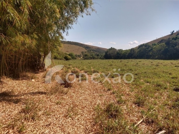 Imagem Fazenda à Venda, 100 m² em Monte Belo - Taubaté Imagem Fazenda à Venda, 100 m² em Monte Belo - Taubaté