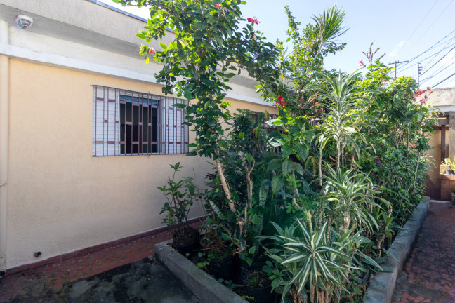 Imagem Casa com 3 Quartos à Venda, 132 m² em Jardim Ernestina - São Paulo Imagem Casa com 3 Quartos à Venda, 132 m² em Jardim Ernestina - São Paulo