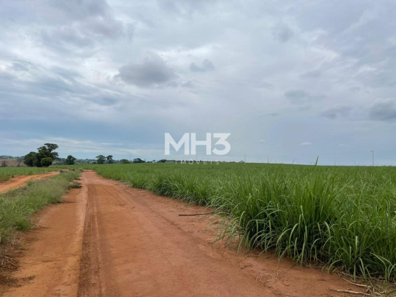 Imagem Imóvel com 8 Quartos à Venda, 5.300 m² em Centro - Piumhi Imagem Imóvel com 8 Quartos à Venda, 5.300 m² em Centro - Piumhi