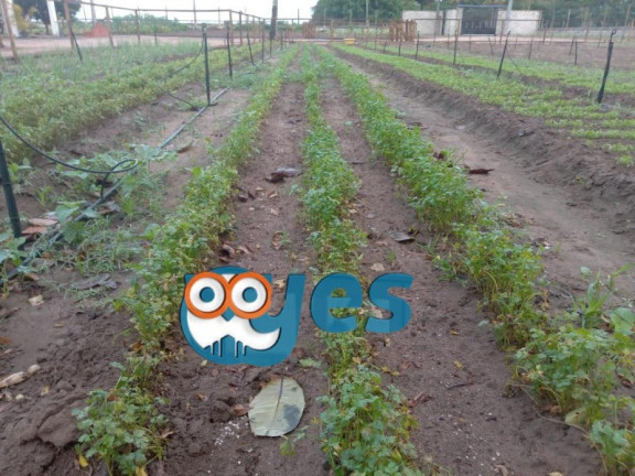 Imagem Imóvel com 6 Quartos à Venda, 78.048 m² em Zona Rural - São Gonçalo Dos Campos Imagem Imóvel com 6 Quartos à Venda, 78.048 m² em Zona Rural - São Gonçalo Dos Campos