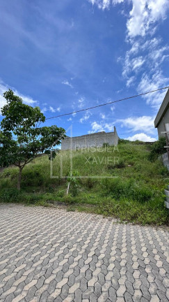 Imagem Terreno à Venda, 252 m² em Tucum - Cariacica