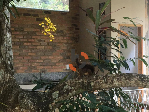 Imagem Fazenda à Venda, 400 m² em Centro - Queimados