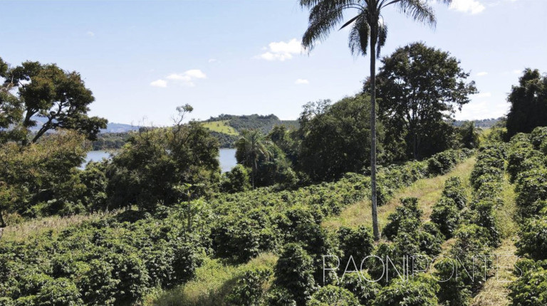 Imagem Fazenda à Venda, 484.000 m² em Zona Rural - Caconde Imagem Fazenda à Venda, 484.000 m² em Zona Rural - Caconde