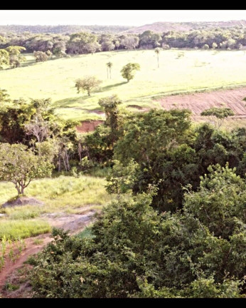Imagem Chácara à Venda, 29.000 m² em área Rural De Luziânia - Luziânia Imagem Chácara à Venda, 29.000 m² em área Rural De Luziânia - Luziânia