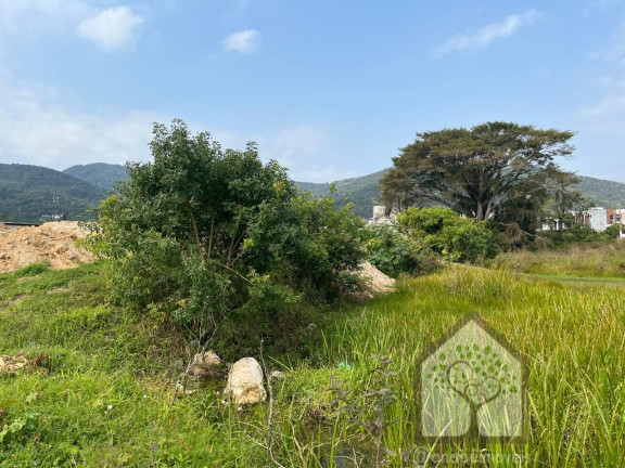 Imagem Terreno à Venda, 2.458 m² em Vargem Grande - Florianópolis Imagem Terreno à Venda, 2.458 m² em Vargem Grande - Florianópolis