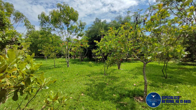 Imagem Chácara à Venda, 4 m² em Zona Rural - Hidrolândia Imagem Chácara à Venda, 4 m² em Zona Rural - Hidrolândia