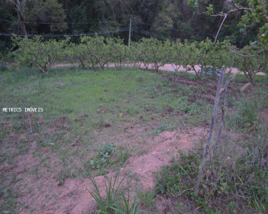 Imagem Imóvel à Venda, 5.000 m² em São José Da Pedra Santa - Jundiaí Imagem Imóvel à Venda, 5.000 m² em São José Da Pedra Santa - Jundiaí