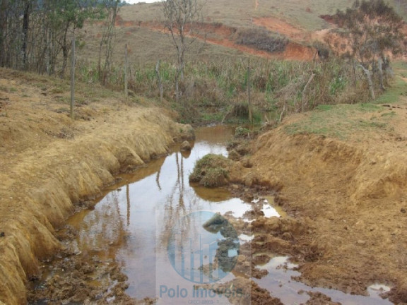 Imagem Imóvel com 4 Quartos à Venda, 1.694.000 m² em Zona Rural - Jacui Imagem Imóvel com 4 Quartos à Venda, 1.694.000 m² em Zona Rural - Jacui