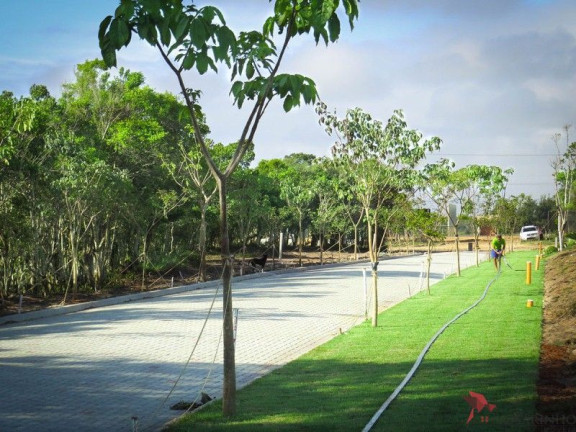 Imagem Terreno à Venda, 560 m² em Passo De Torres - Passo De Torres Imagem Terreno à Venda, 560 m² em Passo De Torres - Passo De Torres