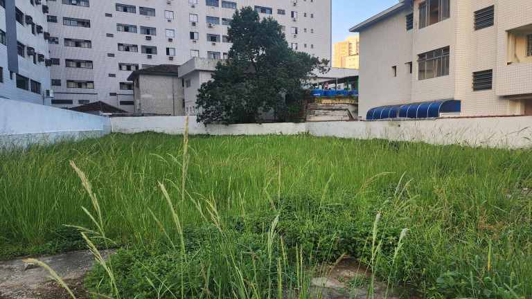 Imagem Terreno para Alugar, 900 m² em Ponta Da Praia - Santos Imagem Terreno para Alugar, 900 m² em Ponta Da Praia - Santos