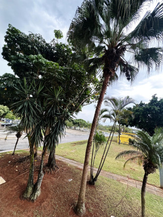 Imagem Sala Comercial para Alugar, 55 m² em Asa Sul - Brasília Imagem Sala Comercial para Alugar, 55 m² em Asa Sul - Brasília