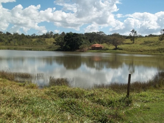 Imagem Fazenda à Venda, 222 m² em Zona Rural - Professor Jamil Imagem Fazenda à Venda, 222 m² em Zona Rural - Professor Jamil