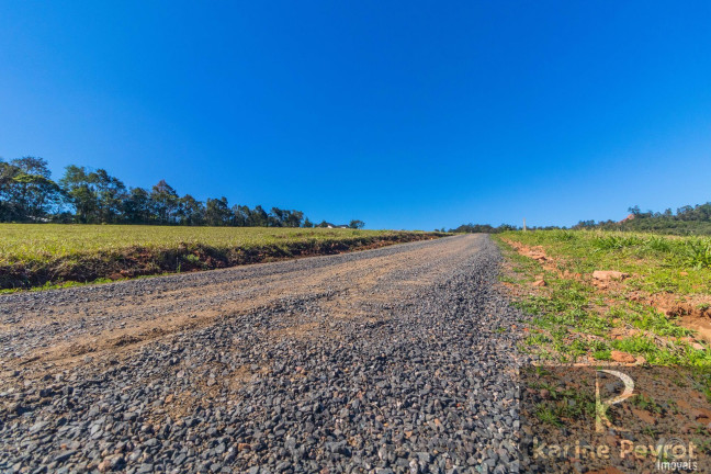Imagem Terreno à Venda, 3.000 m² em Fazenda São Borja - São Leopoldo