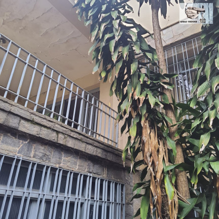 Imagem Sobrado com 3 Quartos à Venda, 433 m² em Vila Aurora (zona Norte) - São Paulo Imagem Sobrado com 3 Quartos à Venda, 433 m² em Vila Aurora (zona Norte) - São Paulo