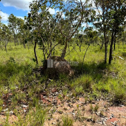Imagem Imóvel à Venda, 3.400 m² em Plano Diretor Sul - Palmas Imagem Imóvel à Venda, 3.400 m² em Plano Diretor Sul - Palmas