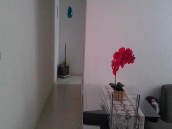 Imagem Apartamento com 2 Quartos à Venda, 44 m² em água Branca - São Paulo Imagem Apartamento com 2 Quartos à Venda, 44 m² em água Branca - São Paulo