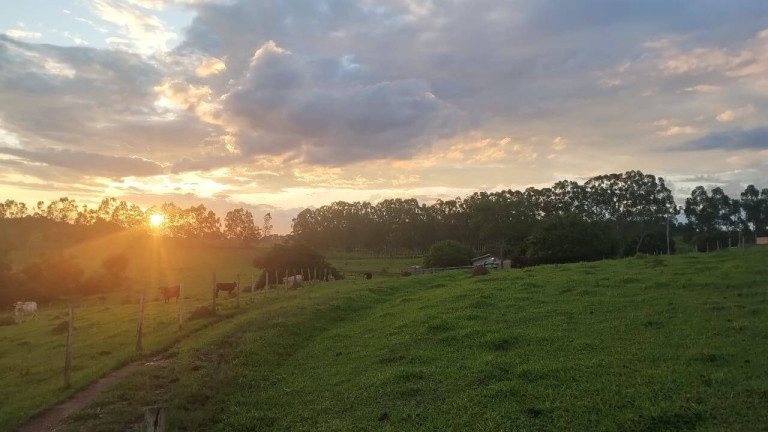 Imagem Chácara à Venda, 2 m² em Vargem Grande Do Sul Imagem Chácara à Venda, 2 m² em Vargem Grande Do Sul