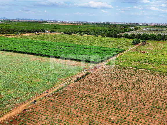Imagem Fazenda à Venda, em área Rual - Petrolina Imagem Fazenda à Venda, em área Rual - Petrolina