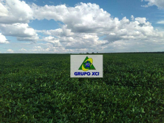 Imagem Fazenda à Venda, 3.388.000 m² em Zona Rural - Ponte Alta Do Tocantins Imagem Fazenda à Venda, 3.388.000 m² em Zona Rural - Ponte Alta Do Tocantins