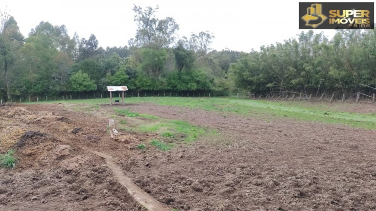 Imagem Imóvel com 3 Quartos à Venda, 660.000 m² em Zona Rural - Capão Do Leão