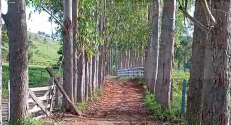 Imagem Fazenda à Venda, 302 m² em Divinópolis