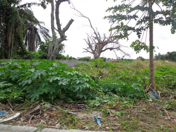 Imagem Terreno à Venda, 4 m²em Abrantes - Camaçari