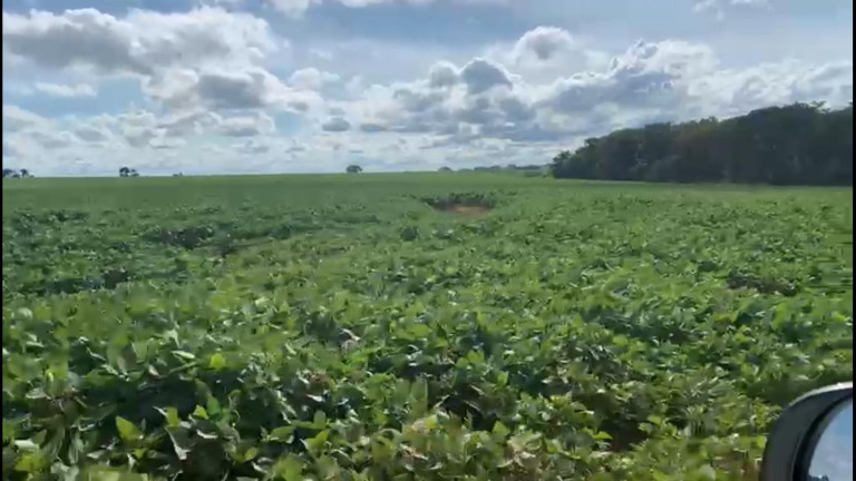 Imagem Chácara à Venda, 38 m² em Rural - Coronel Macedo Imagem Chácara à Venda, 38 m² em Rural - Coronel Macedo
