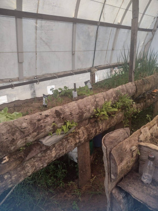 Imagem Chácara com 1 Quarto à Venda, 9.000 m² em Piau - Tibau Do Sul Imagem Chácara com 1 Quarto à Venda, 9.000 m² em Piau - Tibau Do Sul