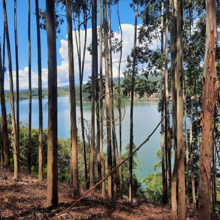 Imagem Fazenda à Venda, 100 m² em Lagoa - Paraibuna
