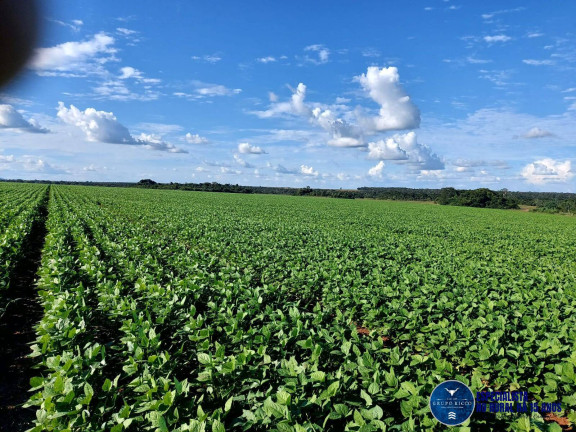 Imagem Fazenda à Venda, 343 m² em Zona Rural - Montes Claros De Goiás Imagem Fazenda à Venda, 343 m² em Zona Rural - Montes Claros De Goiás