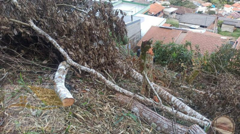 Imagem Terreno à Venda, 7.800 m² em Varginha - Nova Friburgo Imagem Terreno à Venda, 7.800 m² em Varginha - Nova Friburgo
