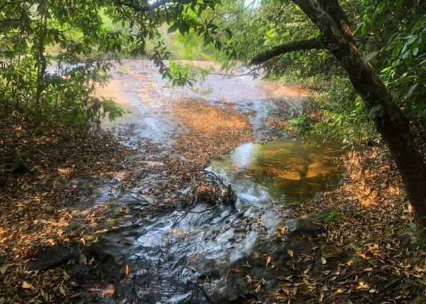 Imagem Chácara com 4 Quartos à Venda, 5.000 m² em Chapada Dos Guimarães Imagem Chácara com 4 Quartos à Venda, 5.000 m² em Chapada Dos Guimarães