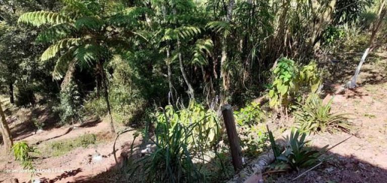 Imagem Chácara à Venda, em Consultar - São Roque Imagem Chácara à Venda, em Consultar - São Roque