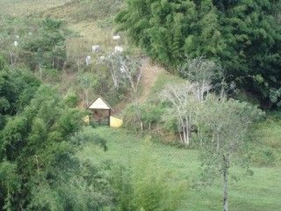 Imagem Fazenda à Venda, 1.331.000 m² em Piquete - Piquete