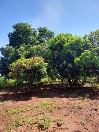 Imagem Chácara com 2 Quartos à Venda, 120 m² em área Rural - Terenos Imagem Chácara com 2 Quartos à Venda, 120 m² em área Rural - Terenos