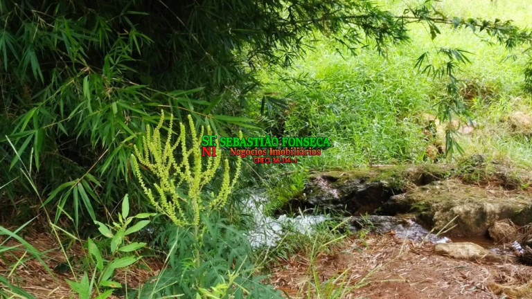 Imagem Fazenda à Venda, 65 m² em Centro - Cunha Imagem Fazenda à Venda, 65 m² em Centro - Cunha