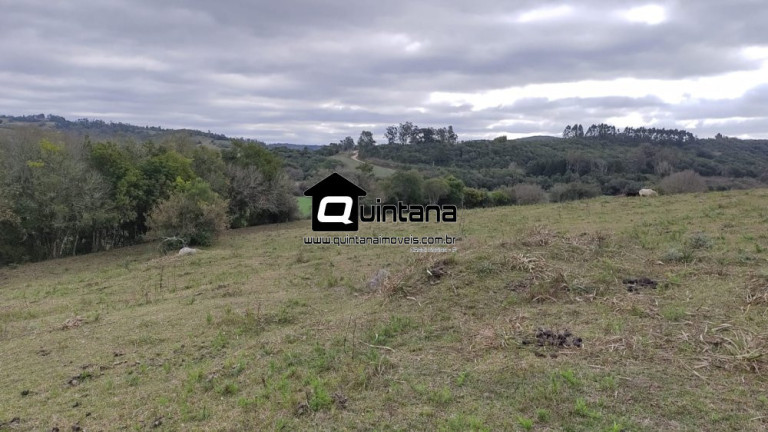 Imagem Imóvel com 4 Quartos à Venda, 80.000 m² em Colônia Santa Maria - Pelotas Imagem Imóvel com 4 Quartos à Venda, 80.000 m² em Colônia Santa Maria - Pelotas
