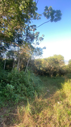 Imagem Terreno à Venda, 61.000 m² em Ambrósio - Garopaba Imagem Terreno à Venda, 61.000 m² em Ambrósio - Garopaba