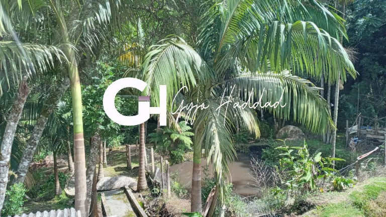Imagem Chácara com 5 Quartos à Venda, 7.000 m² em Vila Elvio - Piedade