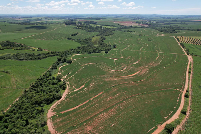 Imagem Fazenda à Venda, 118 m² em Zona Rural - Itápolis Imagem Fazenda à Venda, 118 m² em Zona Rural - Itápolis