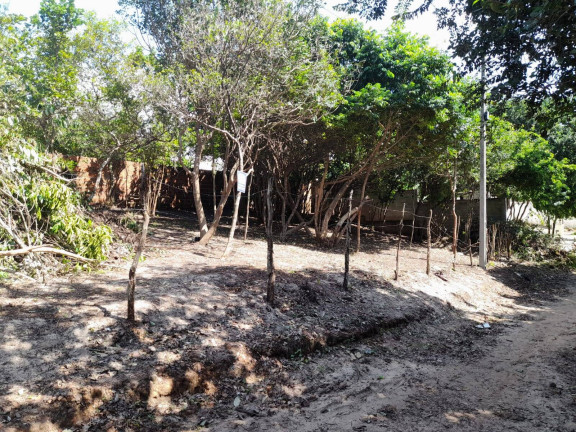 Imagem Terreno à Venda, 420 m² em Imediações Do Anel Viário De Pipa - Tibau Do Sul Imagem Terreno à Venda, 420 m² em Imediações Do Anel Viário De Pipa - Tibau Do Sul