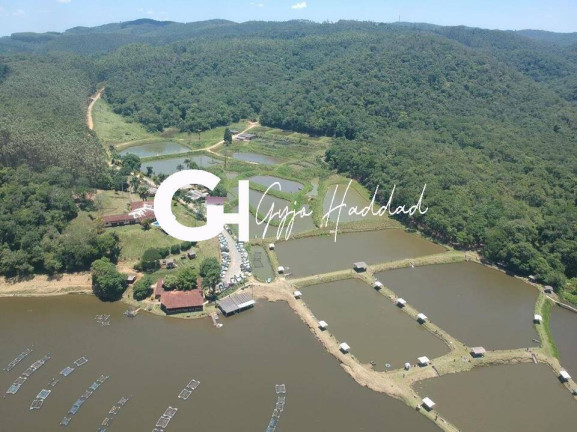 Imagem Fazenda à Venda, 196 m² em Piedade