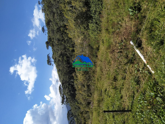 Imagem Terreno à Venda, 130.000 m² em Zona Rural - Carvalhos Imagem Terreno à Venda, 130.000 m² em Zona Rural - Carvalhos